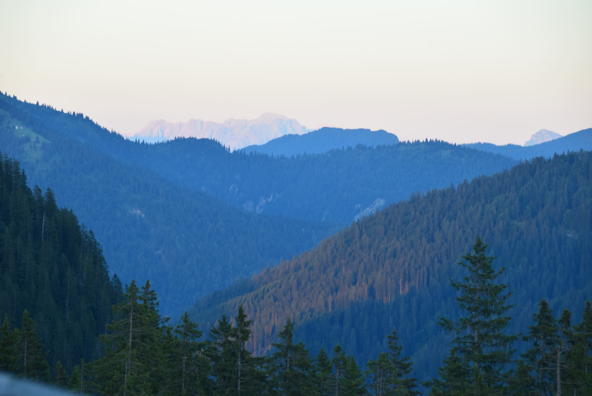 © Wilharm Finja 
