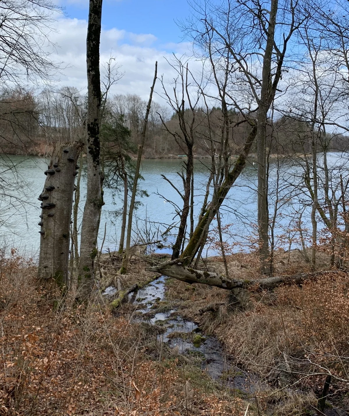 Lechweg Etappe 1_1 | © Müller, Kathrin