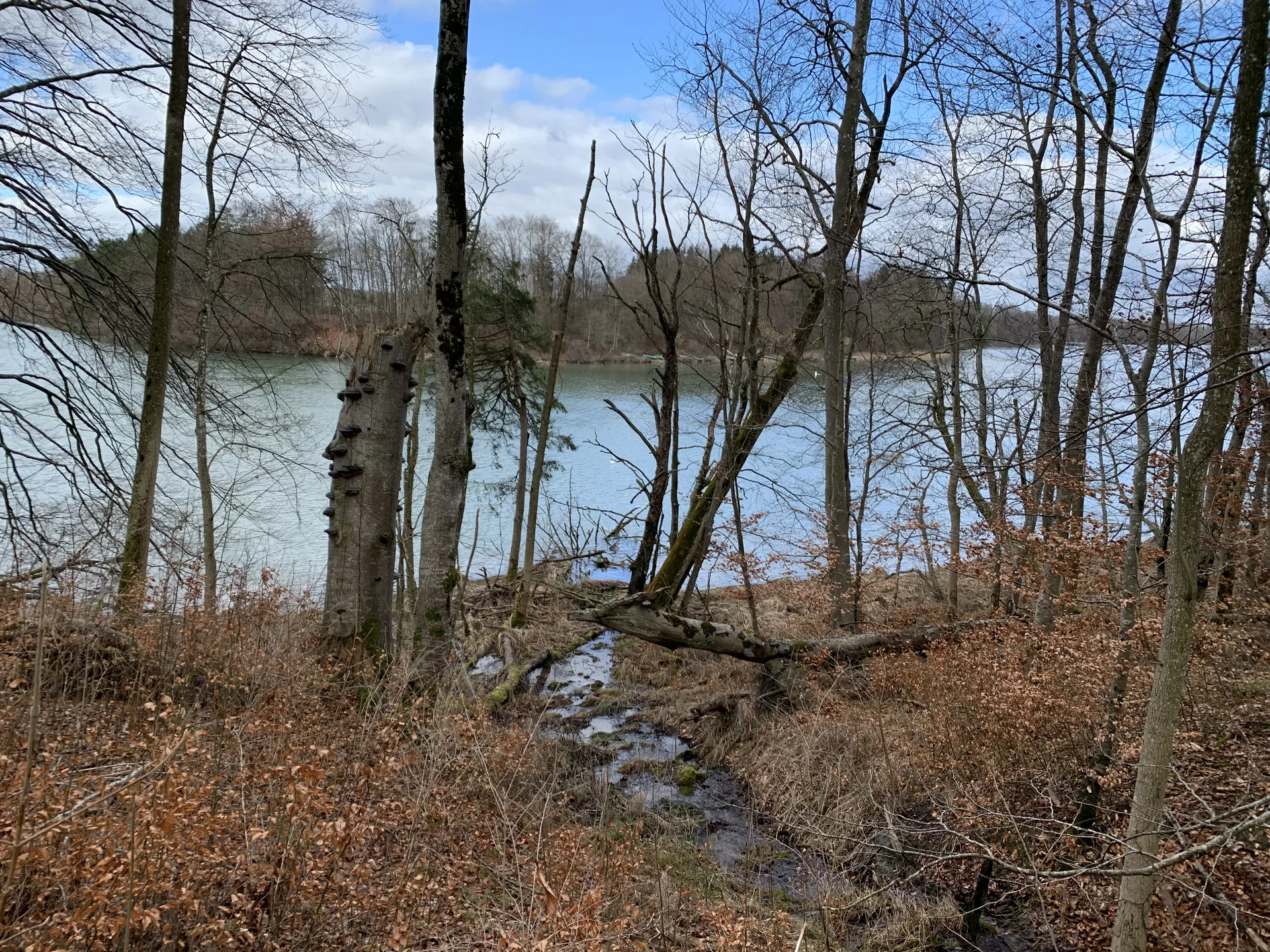 Lechweg Etappe 1_1 | © Müller, Kathrin