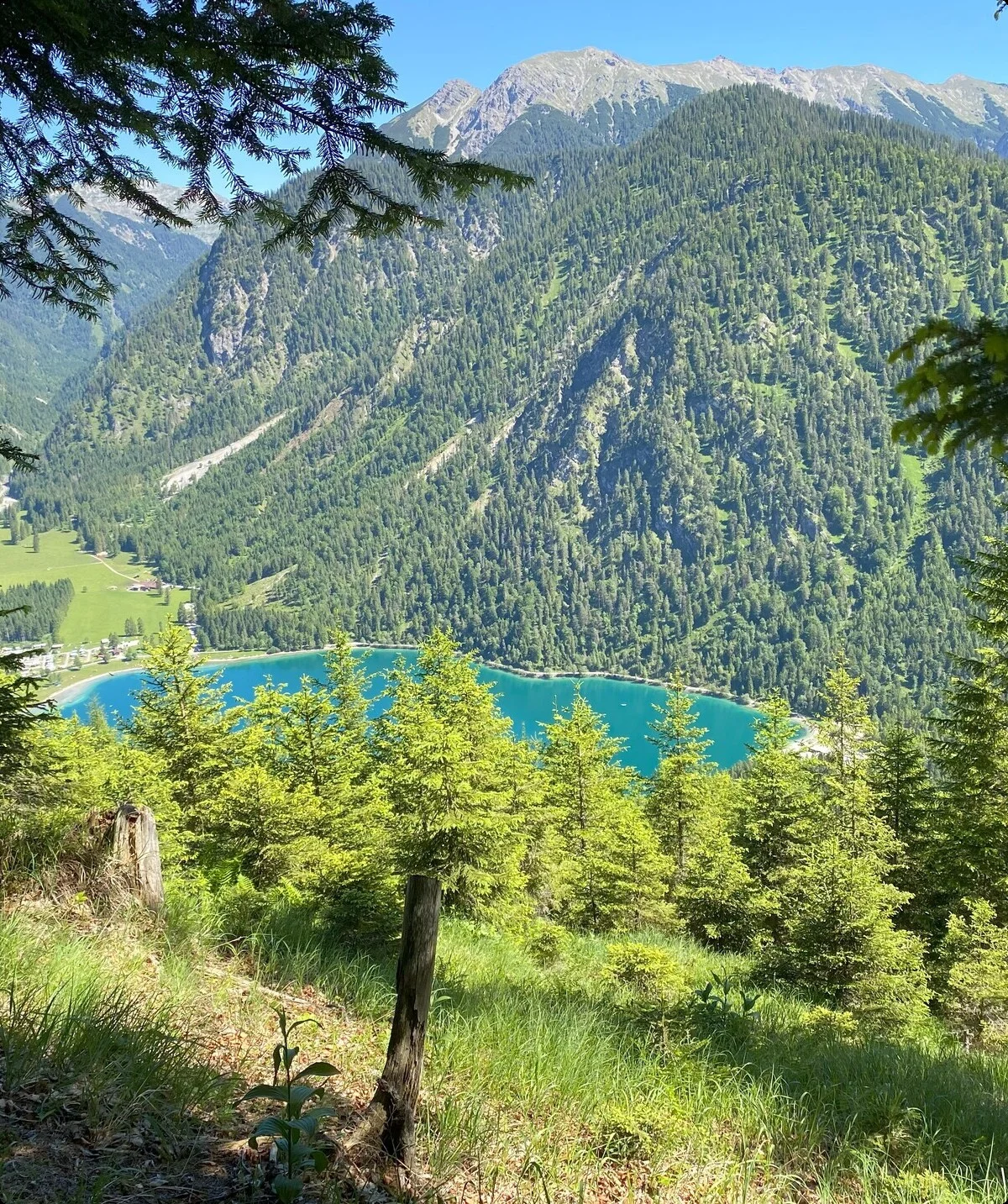 Spiessberg am Plansee 02 | © Kai Zinkernagel