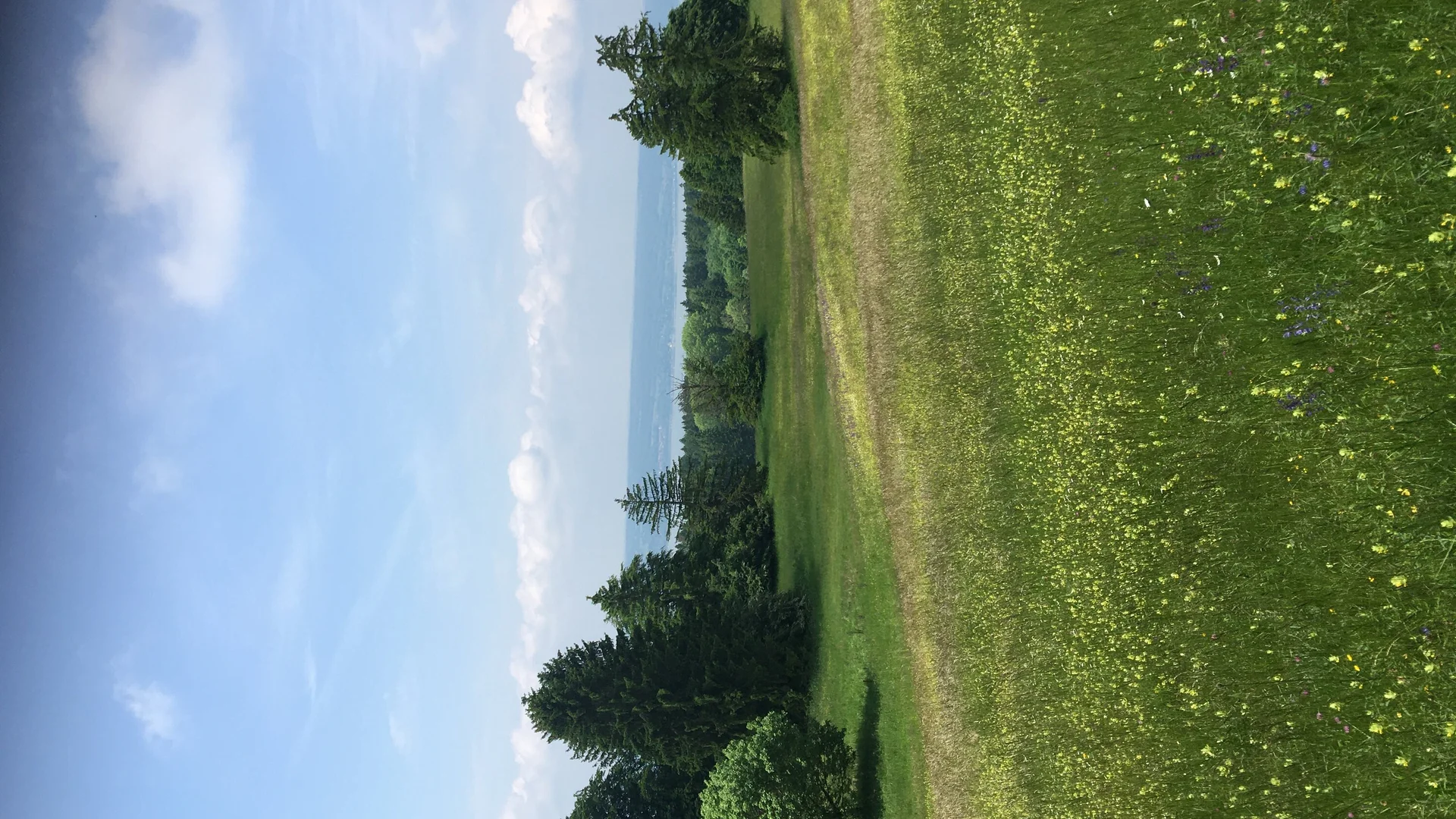 2022_Kathrin_Landschaft mit Aussicht | © Kathrin Müller