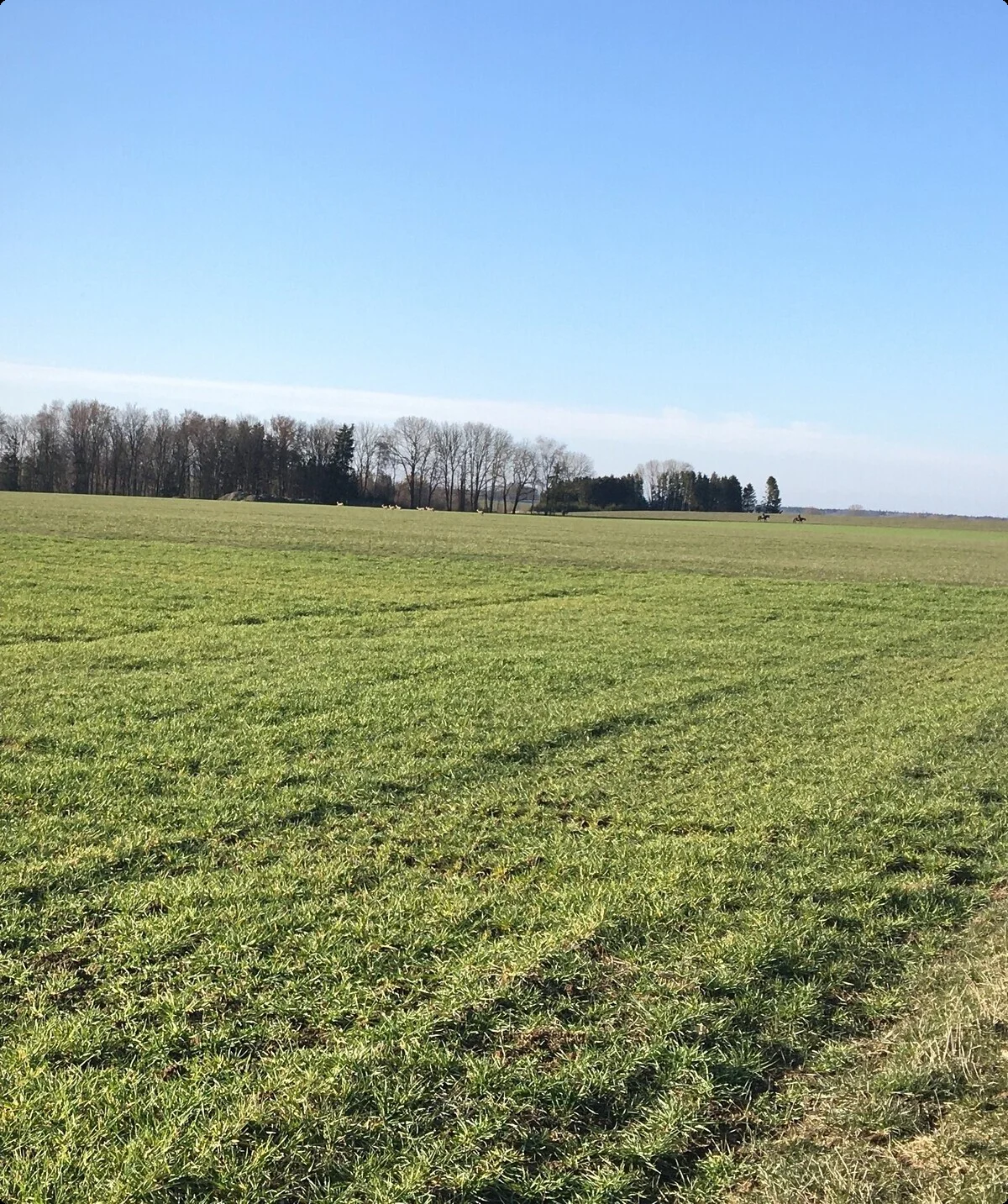 2023_Radtour_Kathrin Feldweg | © Kathrin Müller