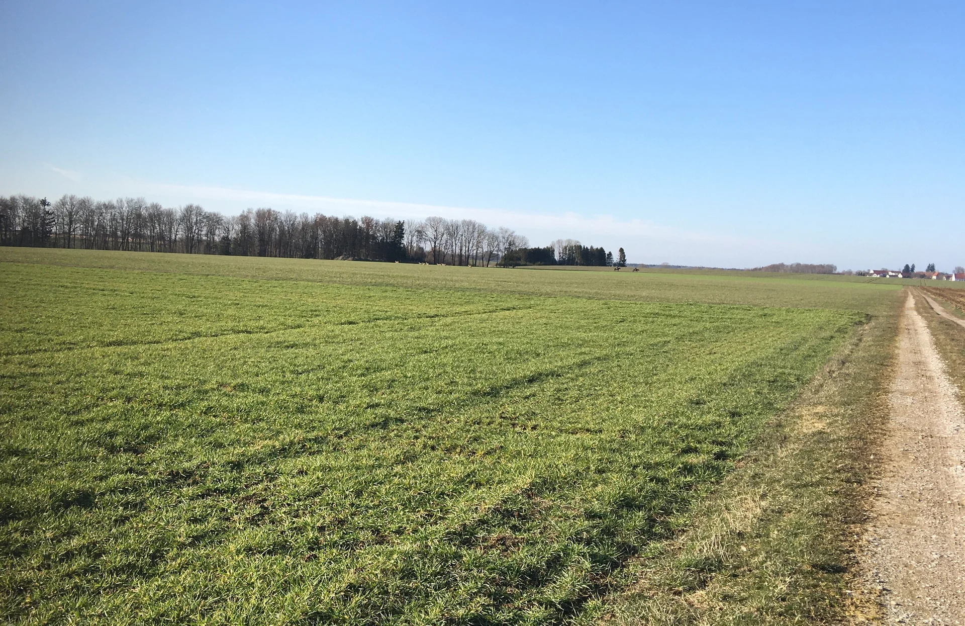 2023_Radtour_Kathrin Feldweg | © Kathrin Müller