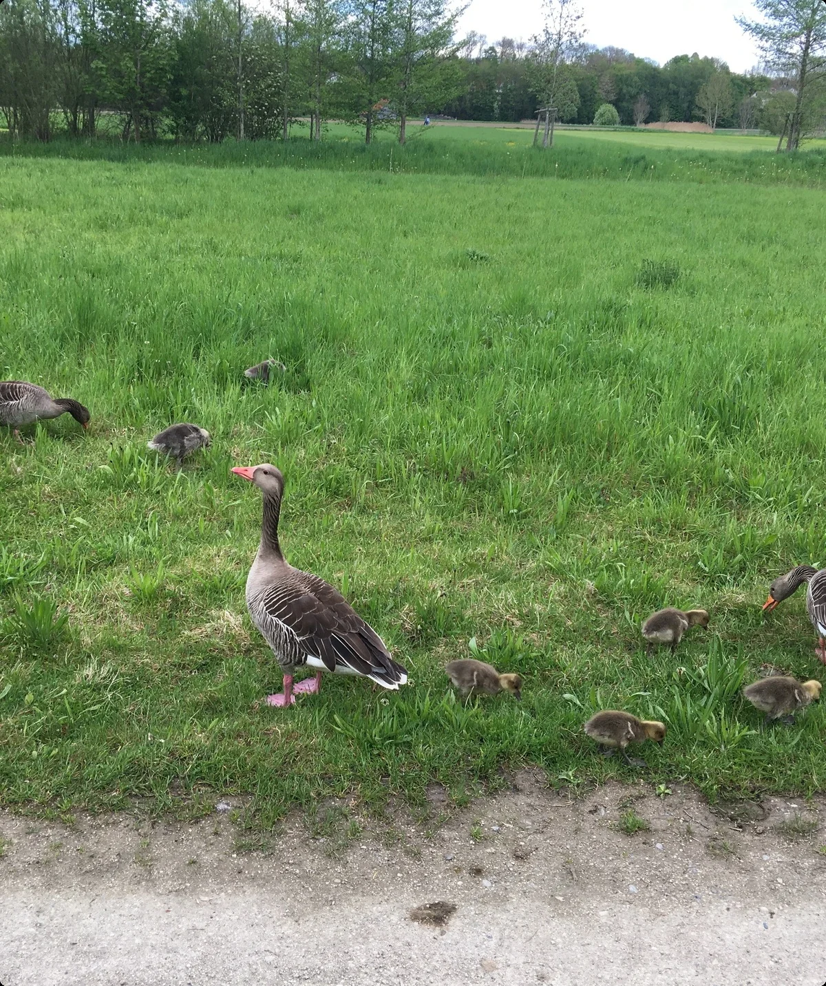 2023_Radtour_Kathrin | © Kathrin Müller