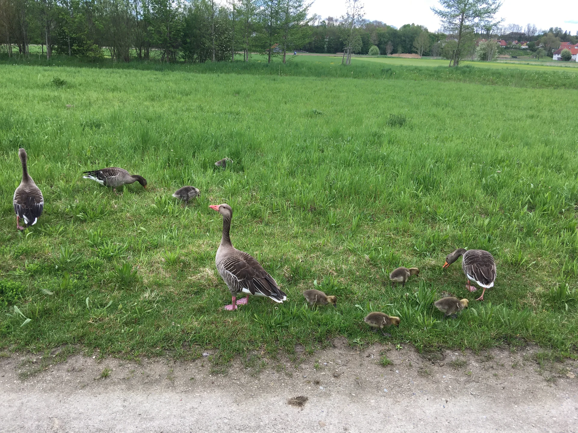 2023_Radtour_Kathrin | © Kathrin Müller