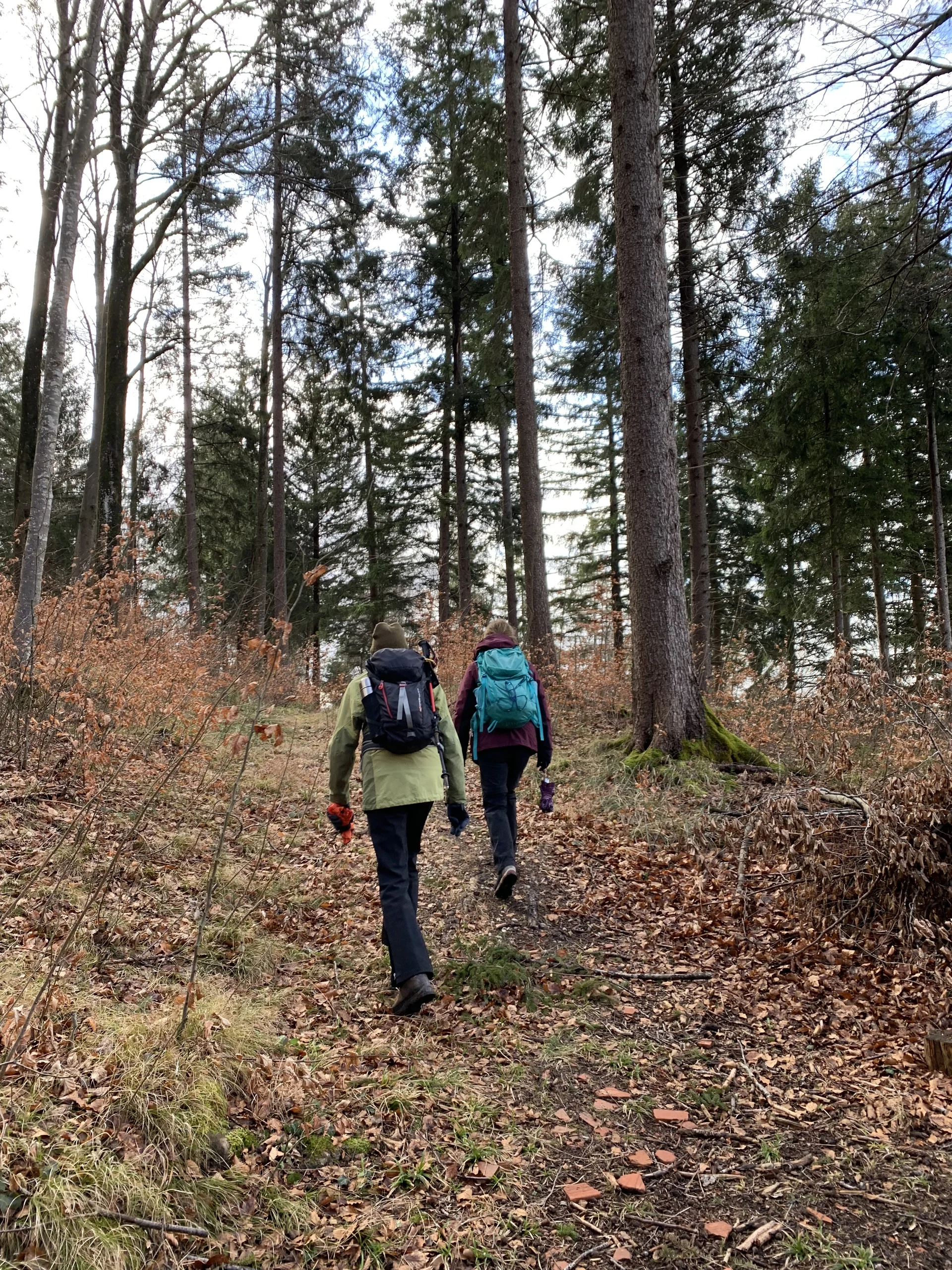 Lechweg Etappe 1_2 | © Müller, Kathrin