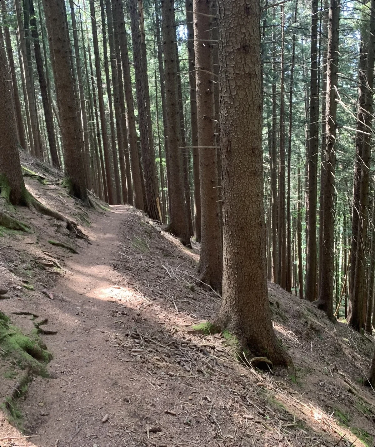 2026-04-20_Kempten1 | © Kathrin Müller