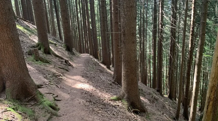 2026-04-20_Kempten1 | © Kathrin Müller