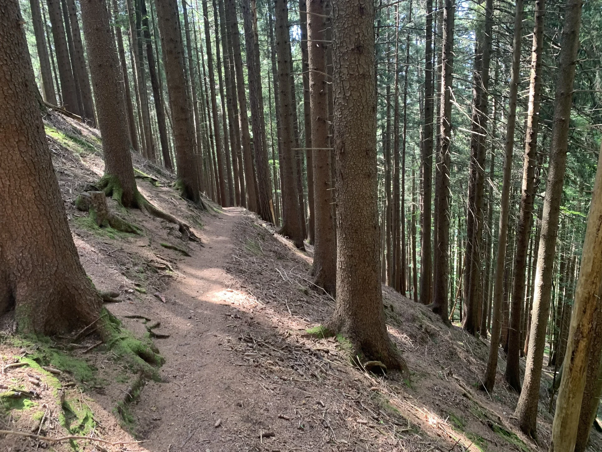 2026-04-20_Kempten1 | © Kathrin Müller