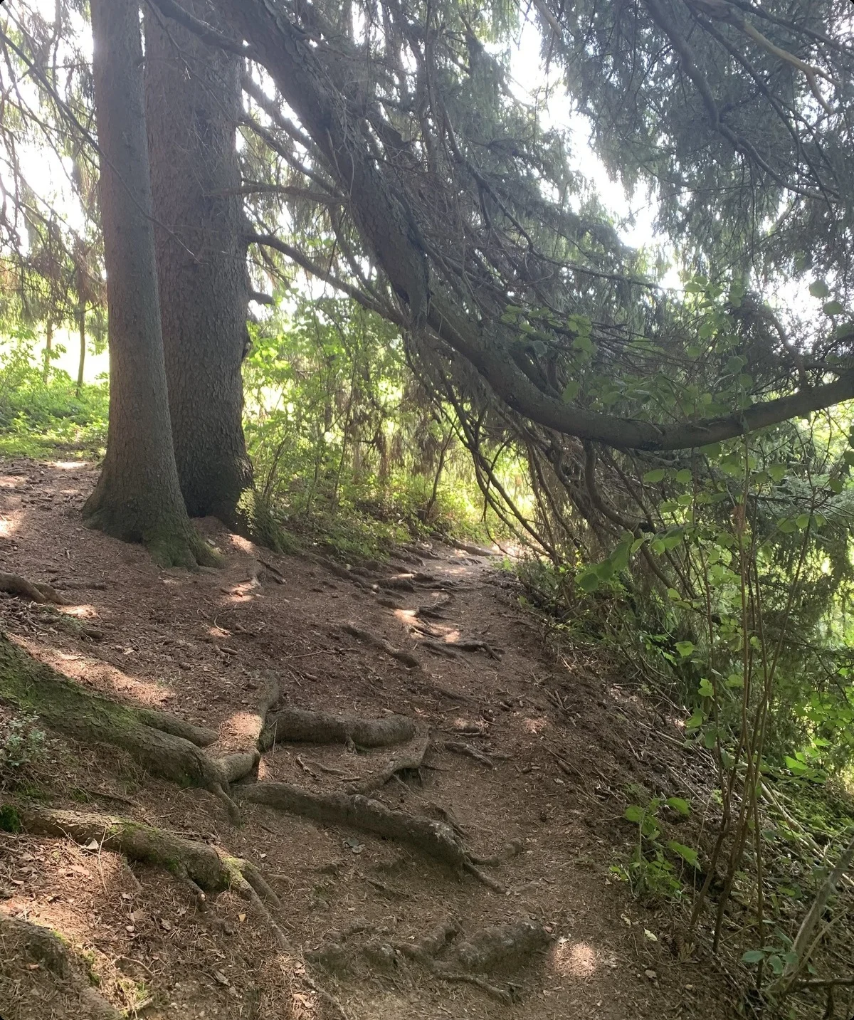 2026-04-20_Kempten2 | © Kathrin Müller