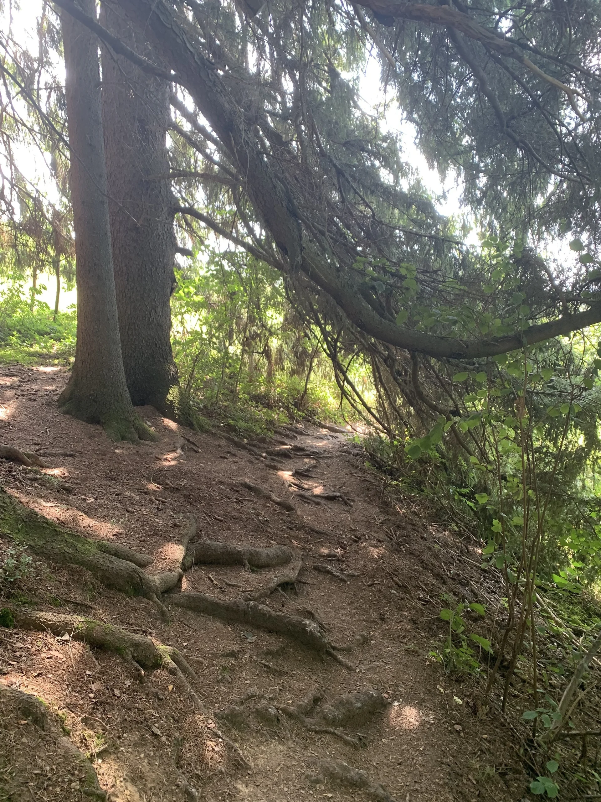 2026-04-20_Kempten2 | © Kathrin Müller