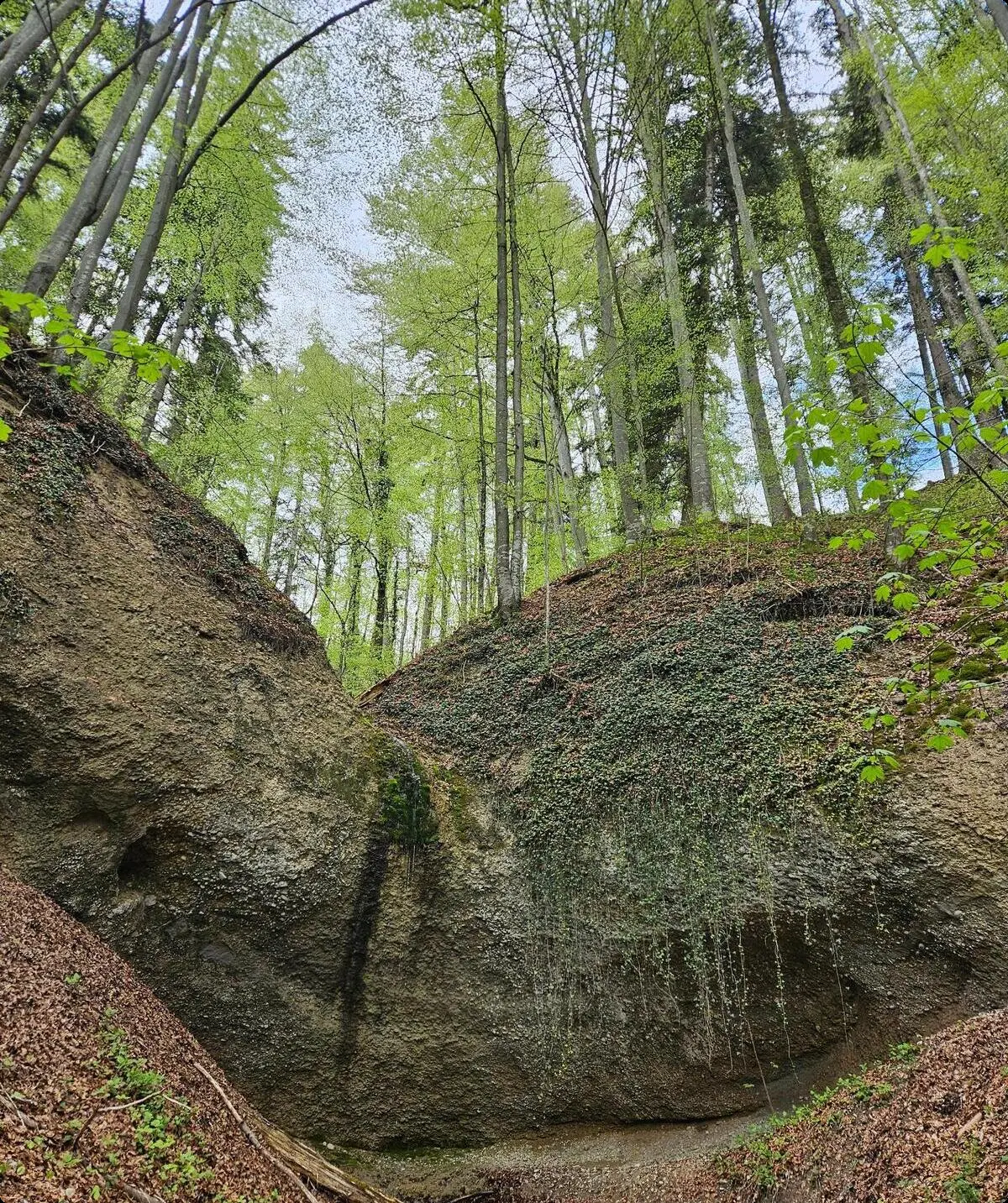 2026-04-20_Kempten_Tropfstein | © Kathrin Müller