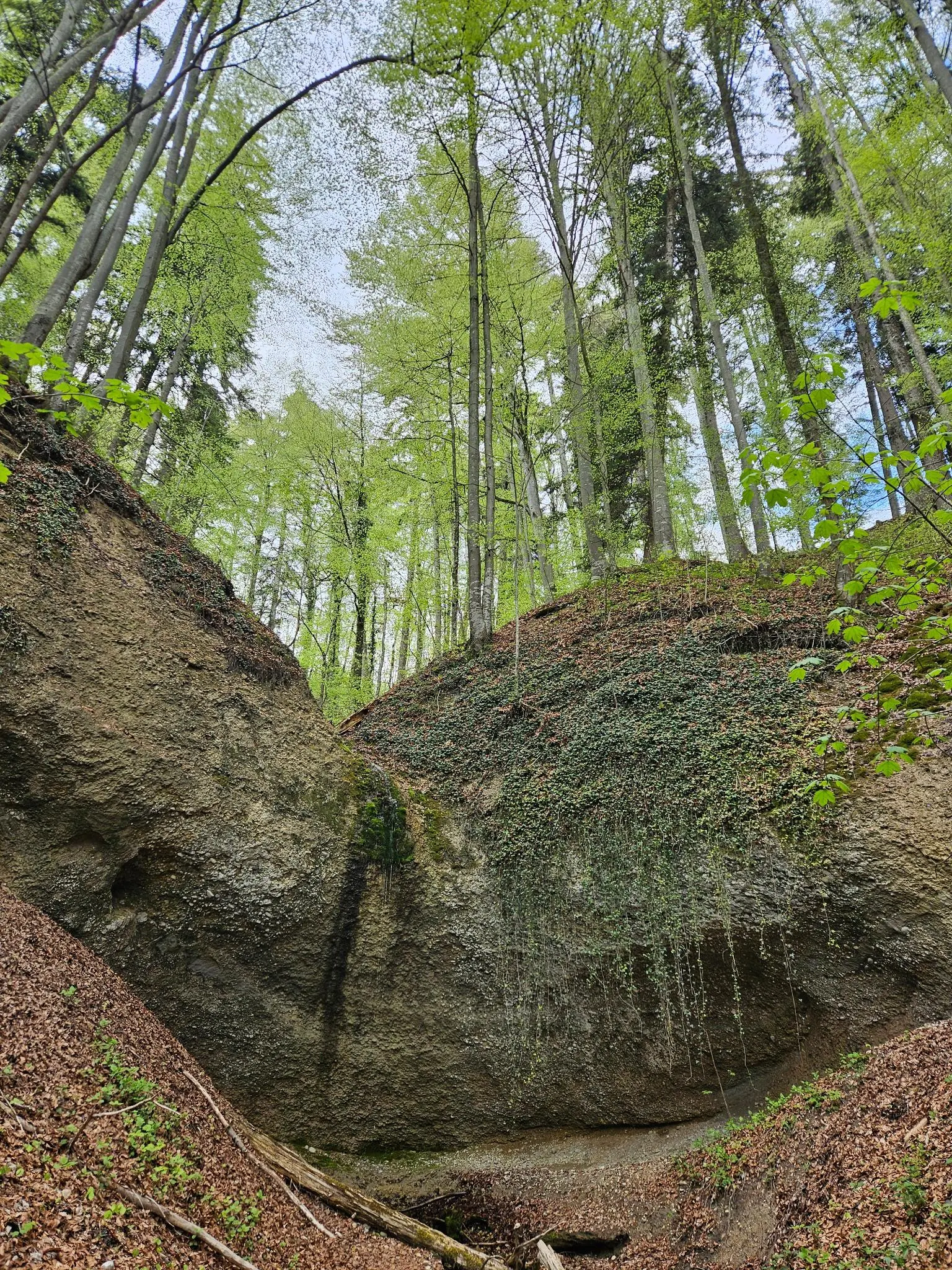 2026-04-20_Kempten_Tropfstein | © Kathrin Müller