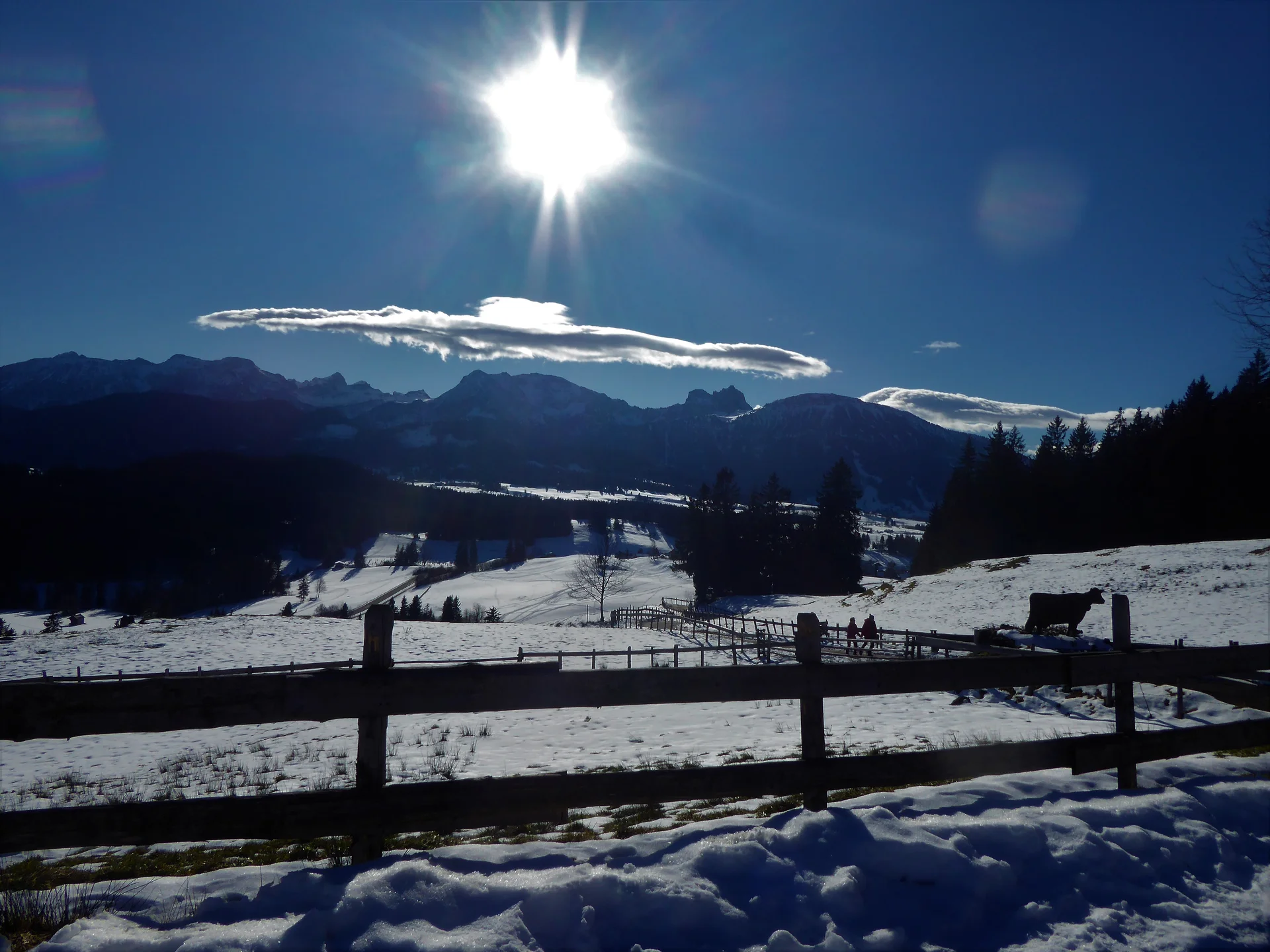 © Beate Maischberger